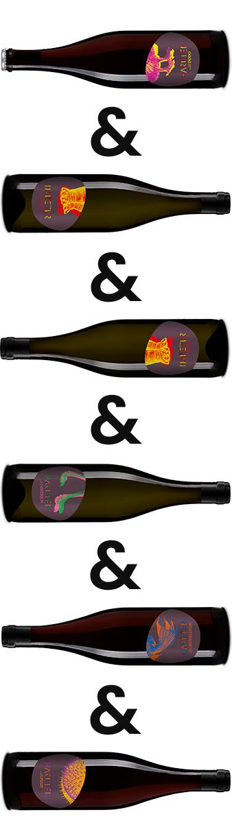 Lovely Creatures Box – Eine Auswahl an ausdrucksstarken Lagenweinen vom Weingut Hareter.