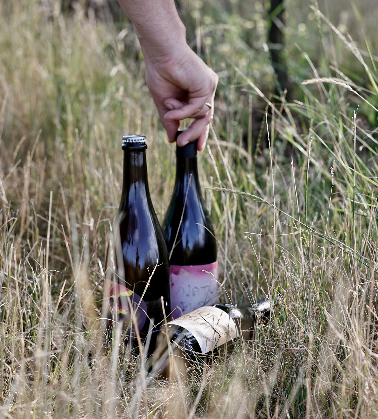 Weinflaschen in der Hand in der Dauerbegrünung des Weinguts Hareter – Biowein aus den Rieden von Weiden am See.